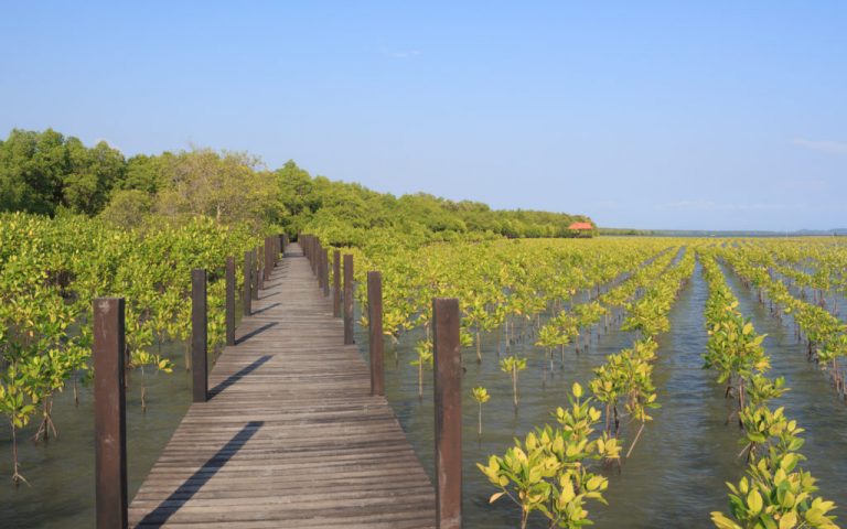 Vacant Lot Information Report BioBenthic Florida Keys FL